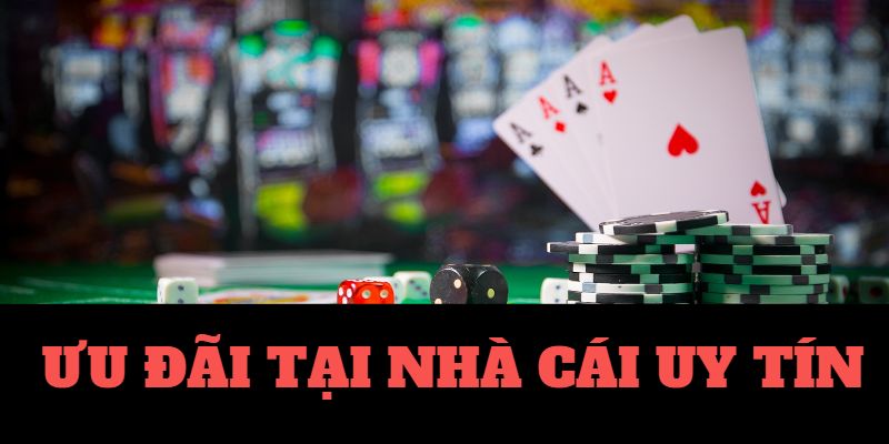 mb66-Tận hưởng ứng dụng Android/IOS ngay hôm nay! mb66-Tận hưởng ứng dụng Android/IOS ngay hôm nay!