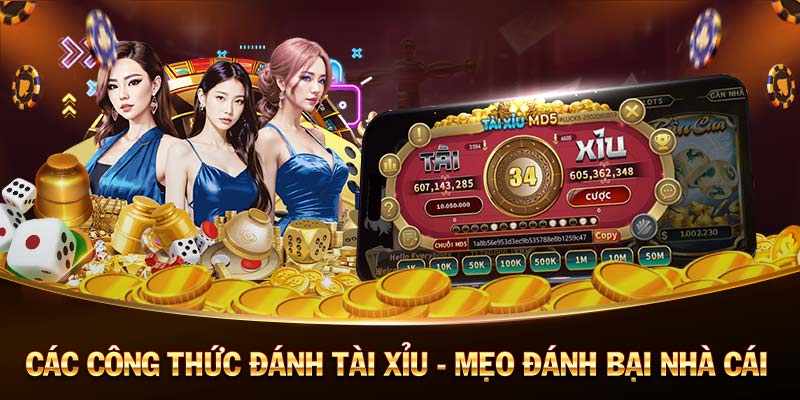 ku casino đăng nhập tải game bắn cá đổi thưởng tiền mặt ku casino đăng nhập tải game bắn cá đổi thưởng tiền mặt